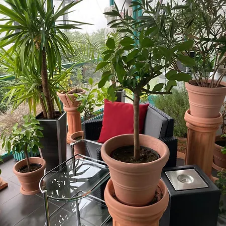 Apartment * Glashutten (Hessen)