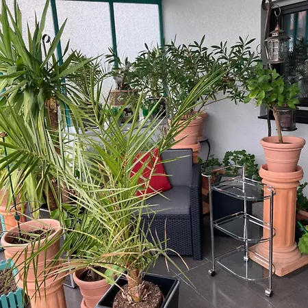 Apartment * Glashutten (Hessen)